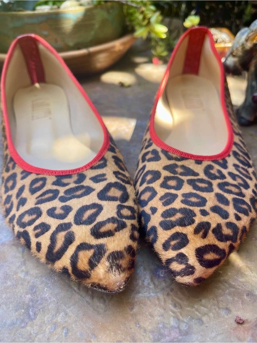 Vero Cuoio Leopard Print Pointed Flats with Red Trim